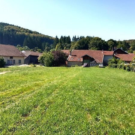 Gite Le Geleinfete II Vosges A Proximite De Gerardmer Herpelmont 외부 사진